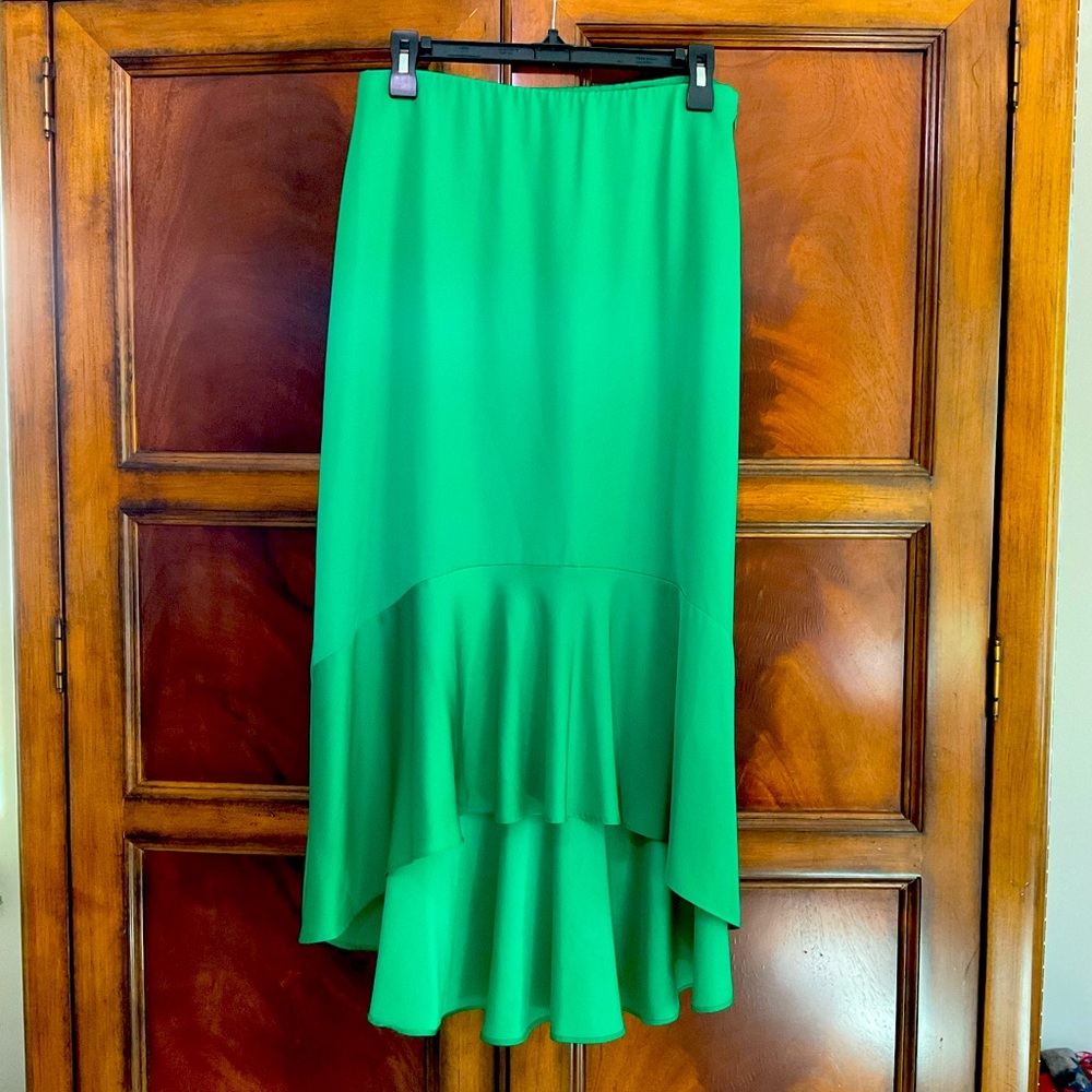 Ann Taylor slip skirt